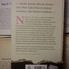 Elena Ferrante - Uuden nimen tarina (sid.) - pikkukuva 2