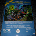 AD&D1 D1-2 Descent into the Depths of the Earth - pikkukuva 1