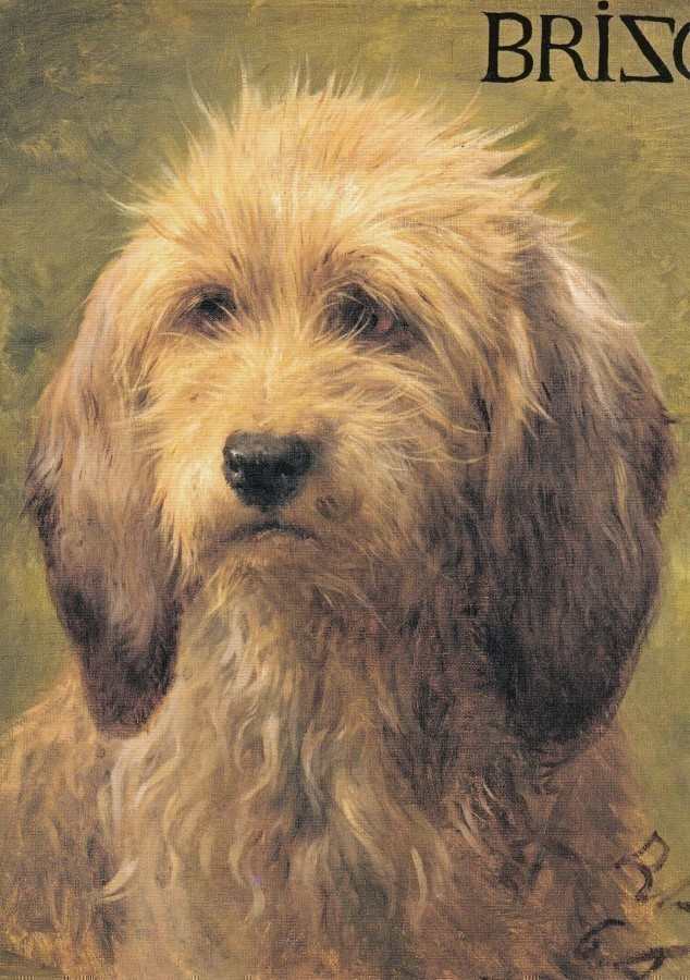 Marie-Rosa Bonheur: Koira (taittokortti)