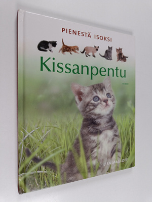 Lisa Magloff : Pienestä isoksi : kissanpentu