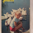 Pellervo No 11 heinäkuu 1970 - pikkukuva 1