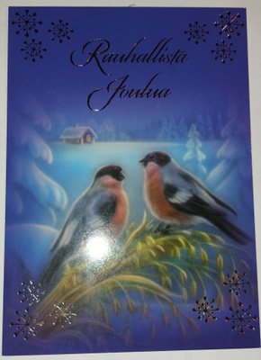 Hopea/Kultafolioitu joulukortti