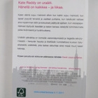 Allison Pearson : Kate Reddy : täydellä teholla yötä päiv... - pikkukuva 2