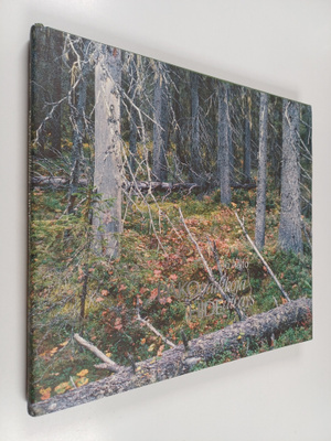 Ilpo Aalto : Pakopaikkoja = Hideaways