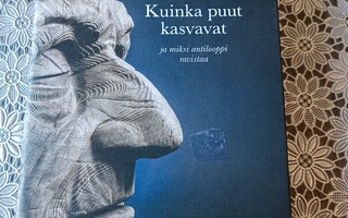Kuinka Puut Kasvavat ja Miksi Antilooppi Ravistaa