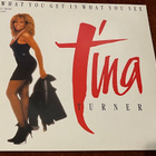 TINA TURNER - WHAT YOU GET IS WHAT YOU SEE - MAXI SINGLE - pikkukuva 1
