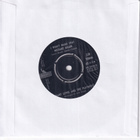 Gary Lewis And The Playboys - She's Just My Style / I Won't - pikkukuva 2