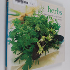 Linda Fraser : Herbs - Fresh Aromatic Recipes from a Coun... - pikkukuva 1