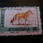 Etiopia: Simien kettu - pikkukuva 5