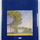 Paul Hayes Tucker : Monet in the '90s : the series paintings - pikkukuva 2