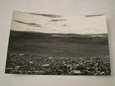 VANHA Postikortti Palkaskero Lappi 1950-l Alkup.Mallikappale