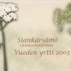 kortti ** Valkoinen luonnonkukka - eril. valokuvakortteja - pikkukuva 3