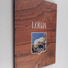 Lohja - Picture book of the Borough and Municipality of L... - pikkukuva 1