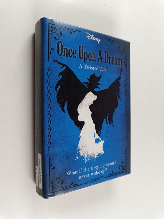 Liz Braswell : Once upon a dream : a twisted tale