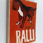 Eeva Joenpelto : Ralli - pikkukuva 1
