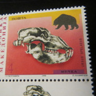 Makedonia 1998: fossiilit - pikkukuva 2