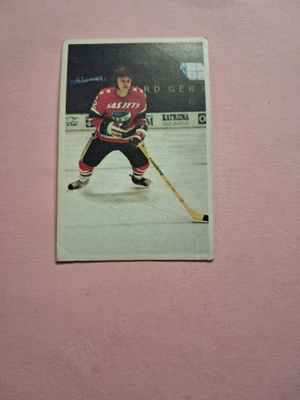 Panda. Jääkiekkokoulu. 15.