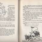 Hämeranta: Veikeät vekkulit Nöh ja Nimetön, 1958, tek.omiste - pikkukuva 2