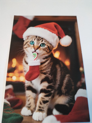 Kissa kortti,kulkematon,vaikka kehyksiin tauluksi.