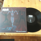 Martyrvore - Malevolent Desolation lp 2014 Death Metal - pikkukuva 1