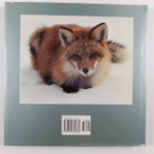 Michael Runtz : Algonquin Seasons - A Natural History of ... - pikkukuva 2