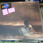WARNING - BRIDGES UUSI LP GREY MARBLED VINYL + - pikkukuva 1