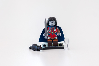 LEGO Strahd von Zarovich 71047-8