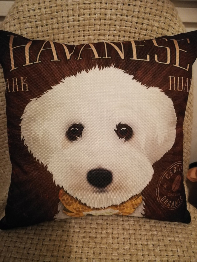 Havannankoira tyynynpäällinen