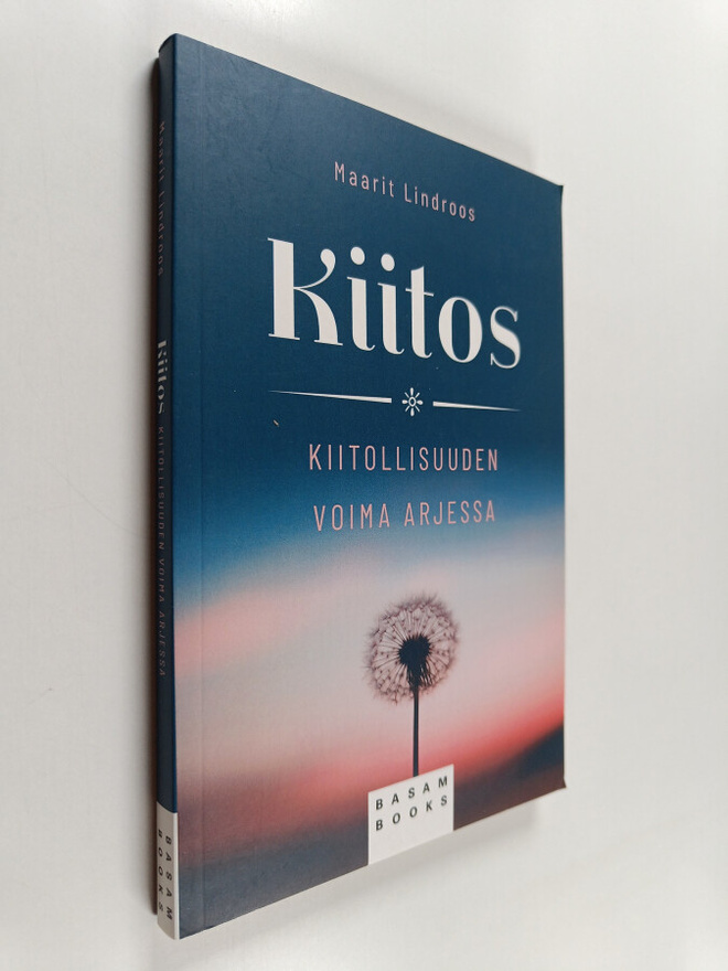 Maarit Lindroos : Kiitos : kiitollisuuden voima arjessa