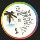 BUCKWHEAT ZYDECO::WHY DOES LOVE GOT TO BE SO SAD: VINYYLY 7" - pikkukuva 3