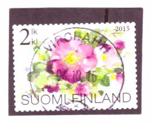 v. 2015  "Ruusupensas" 2.lk  LO Virolahti 04.10.16