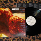 diVINYLS - Divinyls - LP 1990 EX - pikkukuva 2