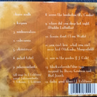 ** J. LAHTINEN : Juhannuslunta / Midsummer snow ** CD Blues - pikkukuva 2