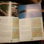 Timo Metsänen LAHDEN II LINTUATLAS 2009-2011 (Sis.pk:t) - pikkukuva 3