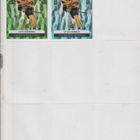 Saipa  Limited edition Blueline 24-25 / 25-26 s1 / 25-26 s2 - pikkukuva 2