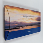 Karl-Erik Michelsen : Global innovator : the story of Vai... - pikkukuva 1