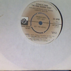 THE FOUR SEASONS :: THE FOUR SEASONS STORY :: VINYYLI 7"1976 - pikkukuva 1