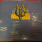 THE NEW CACTUS BAND - SON OF CACTUS EX+/EX+ LP - pikkukuva 2