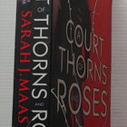 Sarah J. Maas - A Court of Thorns and Roses - pikkukuva 2