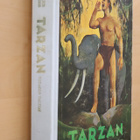 E. R. Burroughs : Tarzan viidakon valtias (1.p. 1971 ) - pikkukuva 1