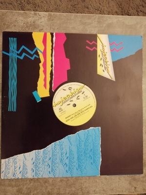 Gene And Jim Are Into Sampling : Shake! (How about...) 12"