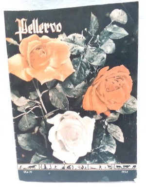 Pellervo N:o 10 1954 kesäkuu
