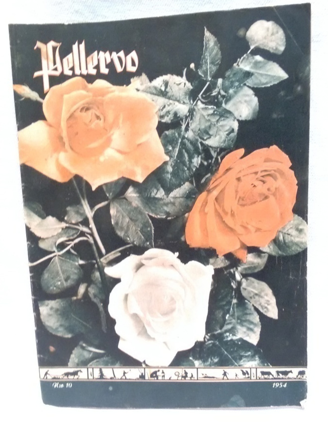 Pellervo N:o 10 1954 kesäkuu