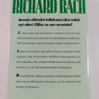 Richard Bach : Ikuisuus - pikkukuva 2