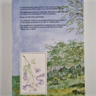 Tim Noad : Trees of Kenya - pikkukuva 2