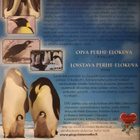 PINGVIINIEN MATKA DVD - pikkukuva 2