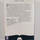 Jo Nesbö : Poliisi - pikkukuva 2