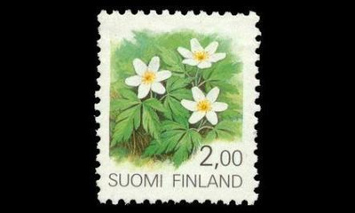 1097 ** Valkovuokko (1990)