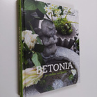 Malin Nilsson : Betonia ja veden välkettä - pikkukuva 1