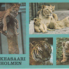 Postikortti, HELSIKI, KORKEASAARI, erikoisleima - pikkukuva 1